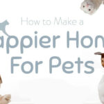 Happier Home for Pets Featured Image
