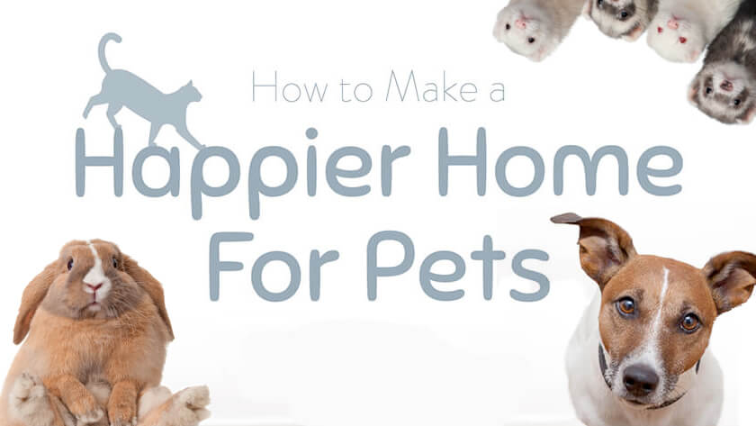Happier Home for Pets Featured Image