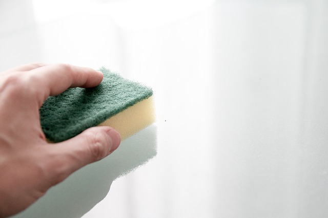 sponge cleaning white door